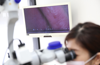 動画システム（動画システム）